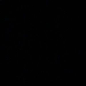 Meet your Posher, Angelica